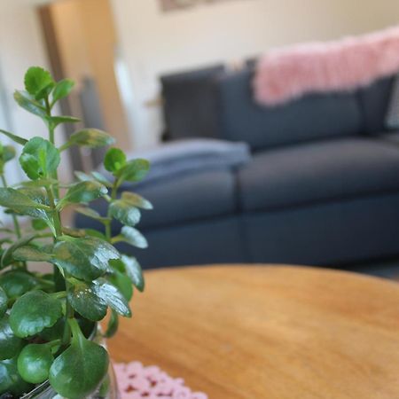Ferienhaus Seehuis, Sauna, Angeln, Familienfreundlich Twist Екстер'єр фото
